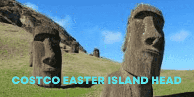 Costco Easter Island Head