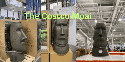 Costco Moai