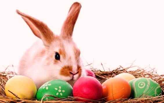 What are the Easter Dates for the Next 5 Years?